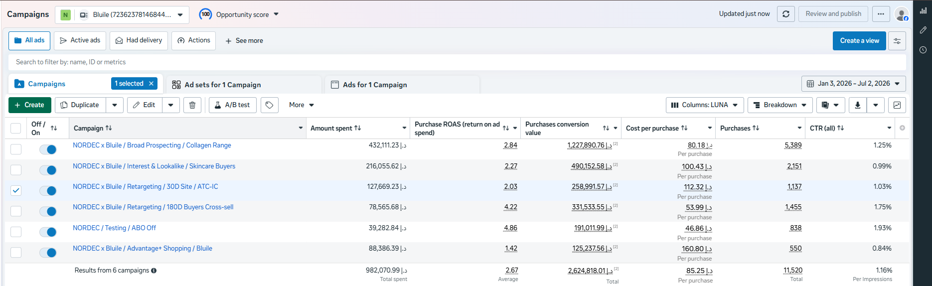 Bluile Meta Ads Manager results